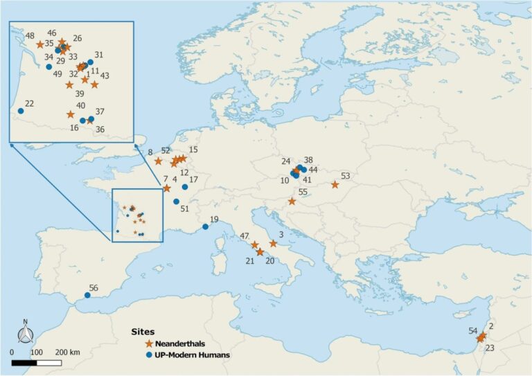 Neanderthal Palaeolithic childhood stress Sites included in this study. The Map was created in QGIS v.3.18 using Natural Earth vector map data. (1) Abri Pataud, (2) Amud, (3) Archi, (4) Arcy-Sur-Cure Grotte Bison, (5) Arcy-Sur-Cure Grotte De L'hyène, (6) Arcy-Sur-Cure Grotte Des Fées, (7) Arcy-Sur-Cure Grotte Du Renne, (8) Biache-St-Vaast, (9) Blanchard (Castelmerle), (10) Brno, (11) Combe Grenal, (12) Couvin, (13) Cro-Magnon, (14) Dolní Věstonice, (15) Engis, (16) Estelas, (17) Farincourt, (18) Fontéchevade, (19) Grimaldi-Barma Grande, (20) Grotta Breuil, (21) Guattari, (22) Isturitz, (23) Kebara, (24) Kulna, (25) La Chaise-Abri Bourgois-Delaunay, (26) La Chaise-Suard, (27) La Ferrassie, (28) La Madeleine, (29) La Quina, (30) Labatut (Castelmerle), (31) Lachaud, (32) Laugerie-Basse, (33) Le Moustier, (34) Le Petit Puymoyen, (35) Les Rois, (36) Malarnaud, (37) Masd'Azil, (38) Mladeč, (39) Monsempron, (40) Montmaurin, (41) Ochoz, (42) Pavlov, (43) Pech De L'Aze, (44) Predmostí, (45) Roc De Marsal, (46) Rochelot, (47) Saccopastore, (48) Saint Césaire, (49) Saint-Germain-La-Rivière, (50) Scladina, (51) Solutré, (52) Spy, (53) Subalyuk, (54) Tabun, (55) Vindija, (56) Zafarraya. Picture from Limmer, L.S., Santon, M., McGrath, K. et al. 2024, CC BY 4.0