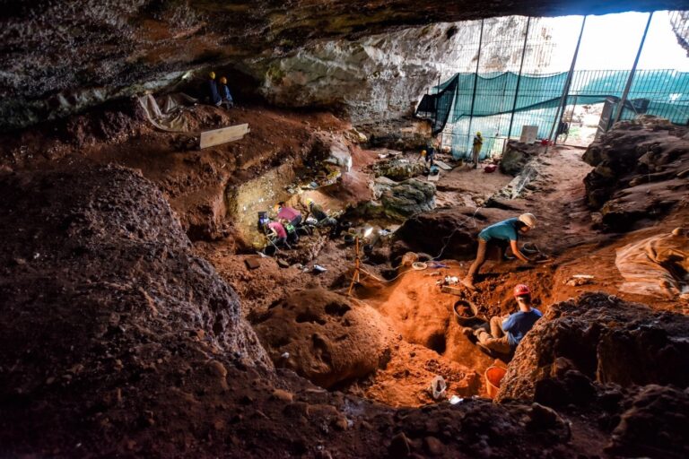 leone delle caverne Lavoro sul campo a Grotta Romanelli (crediti per la foto: L. Forti)