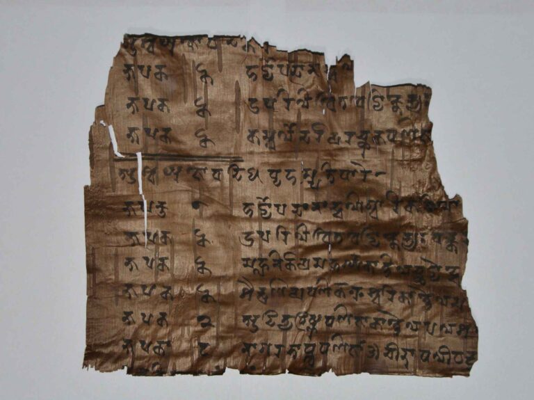 This is what the ancient Indian Proto-Sarada script looks like, here on a 14-centimetre-wide piece of birch bark. The terms "market" and "merchant" appear in the text, which indicates an economic context. (Image: Ingo Strauch / Universität Lausanne)