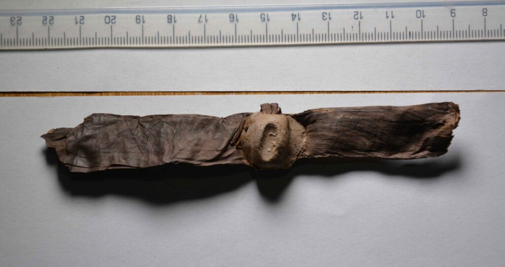 A small birch bark scroll with a seal. (Image: Ingo Strauch / Universität Lausanne)