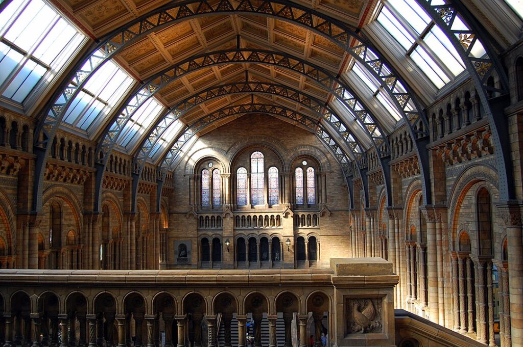 Central Hall dal Museo di Storia Naturale di Londra