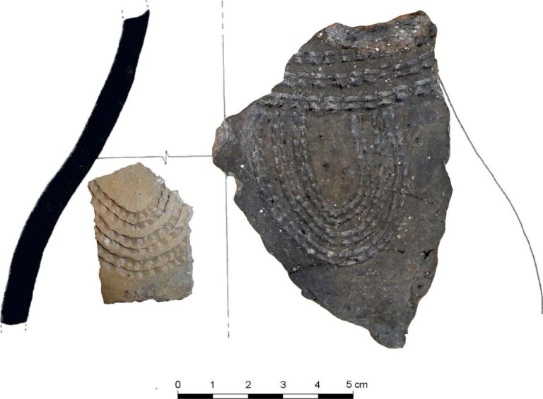 Ceramic remains from Espluga de Puyascada Cave (La Fueva, Huesca) analysed in the study. Author: R. Laborda