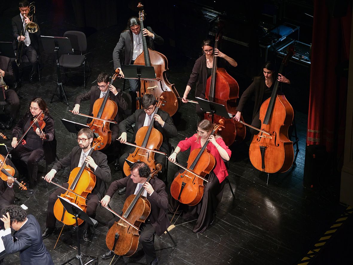 Orchestra Sinfonica di Matera - OSM: Archi